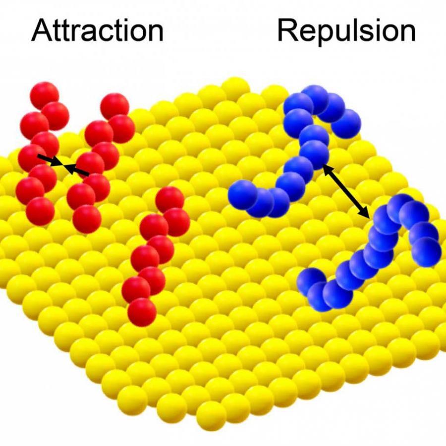 		Graphic featuring yellow, red and blue balls
	