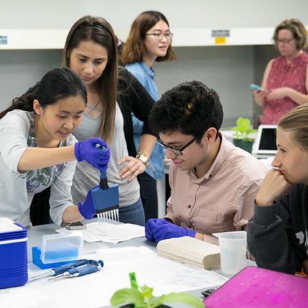 		 Cornell undergraduate students diagnosing wine grape diseases in a plant pathology laboratory in Chile.
	