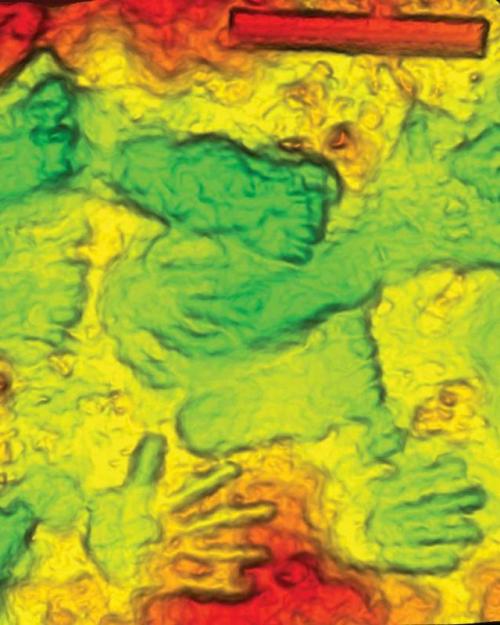 		Colored three-dimensional scan of the hands and footprints
	