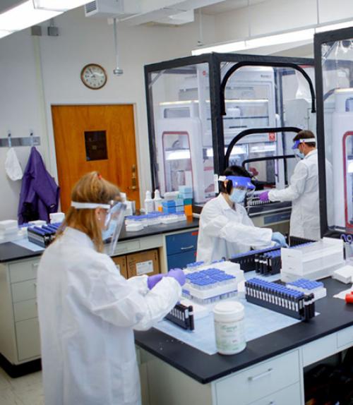 		 Three people in lab coats work in a lab
	