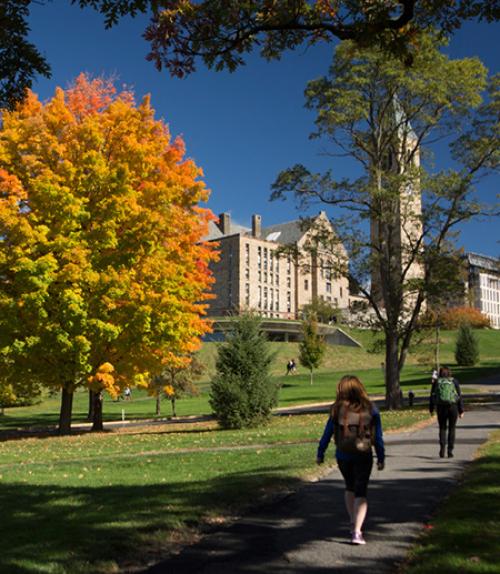 		 Autumn trees, people walking up a hill
	