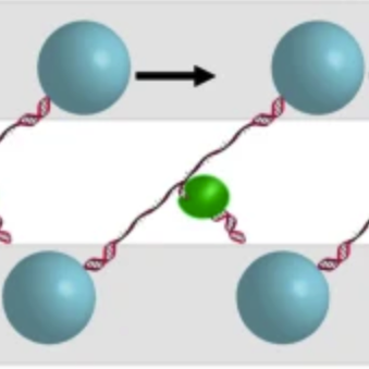 		Illustration of nSWAT mechanism stretching DNA molecules
	