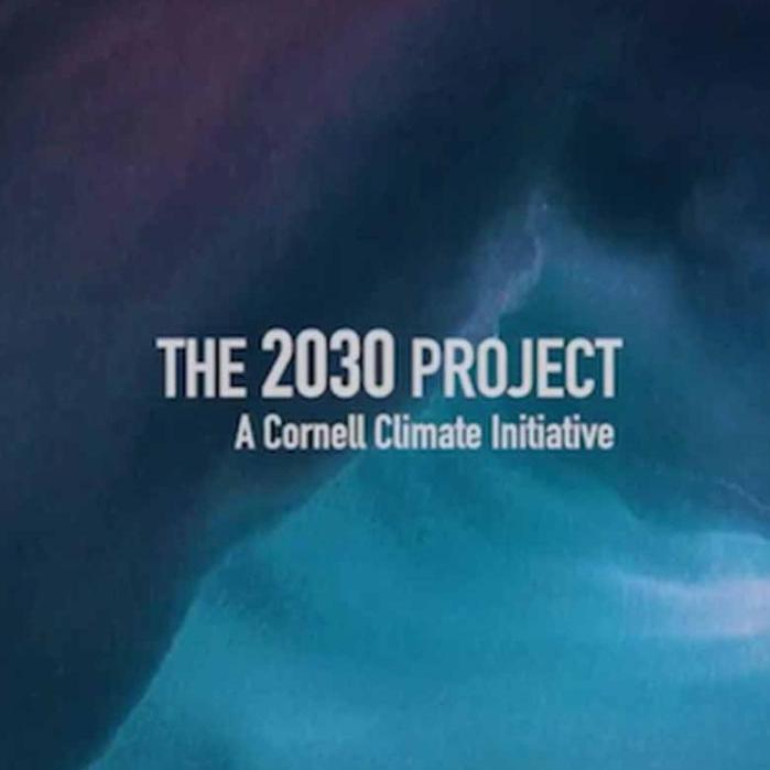 		2030 PROJECT LOGO
	