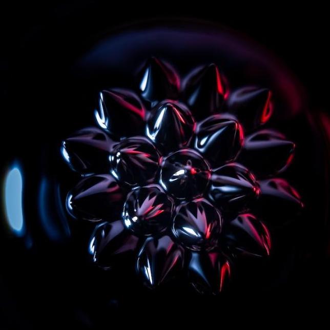 		Shiny spikes organized into a sphere
	