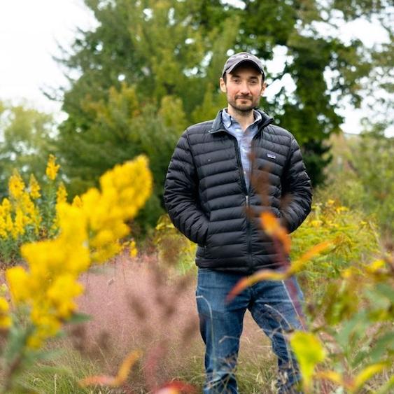 		Person standing in a field, surrounded by green, yellow and red plants
	