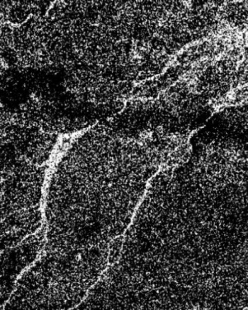 		A black and white aerial image of Titan's river system.
	