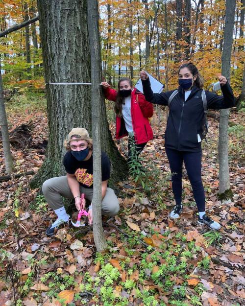 		Three people in the woods, holding up specimens
	