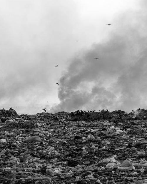 		Smoke rising from a landfill
	