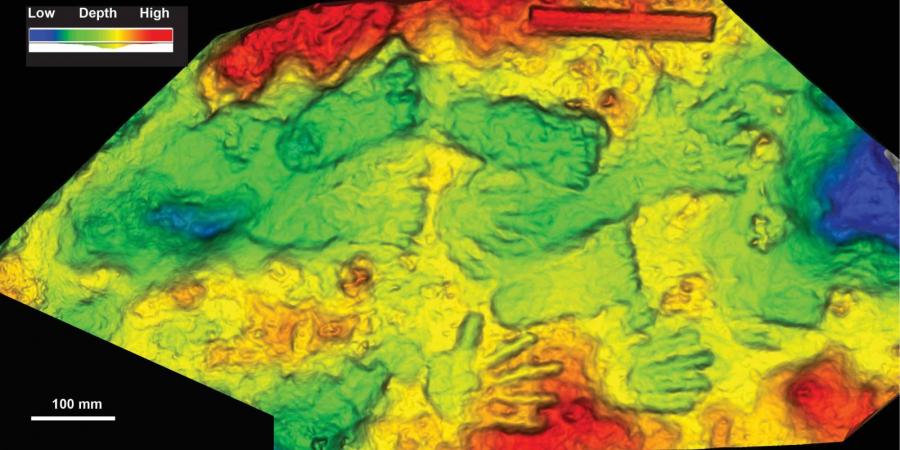 Colored three-dimensional scan of the hands and footprints