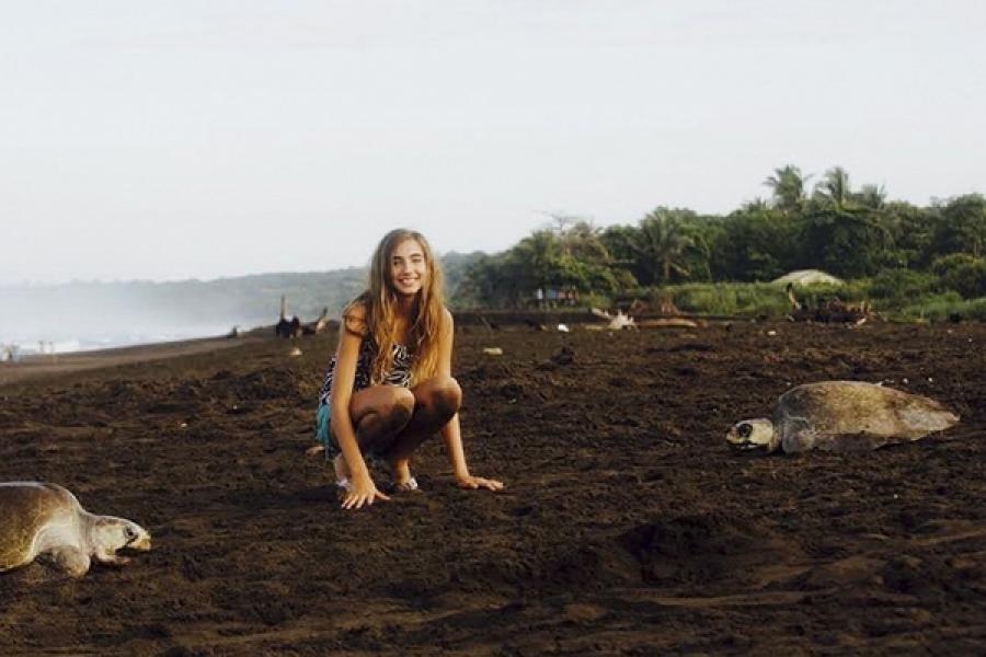 Person on a beach with two giant turtles