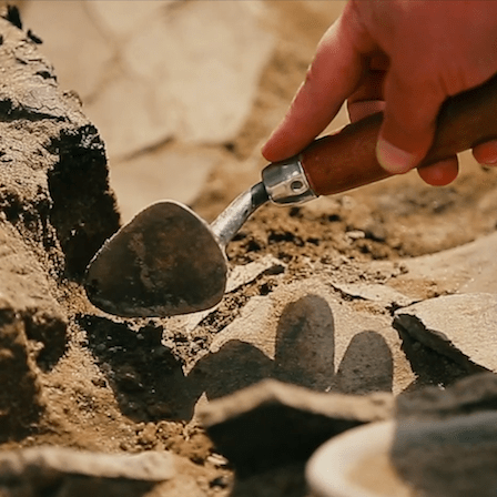 Hand digging with trowel in dirt