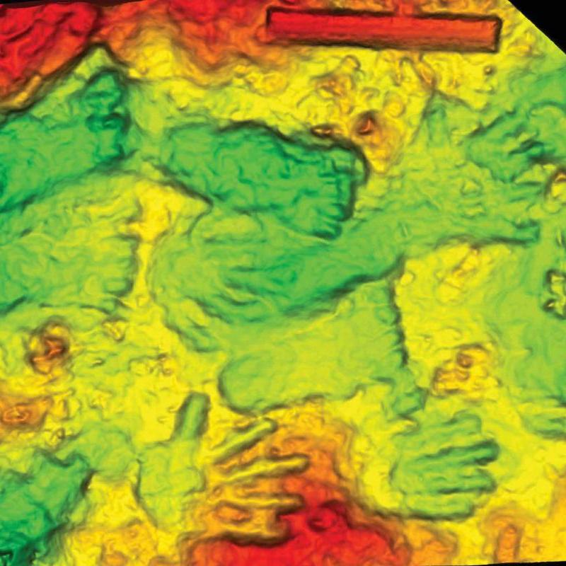 Colored three-dimensional scan of the hands and footprints