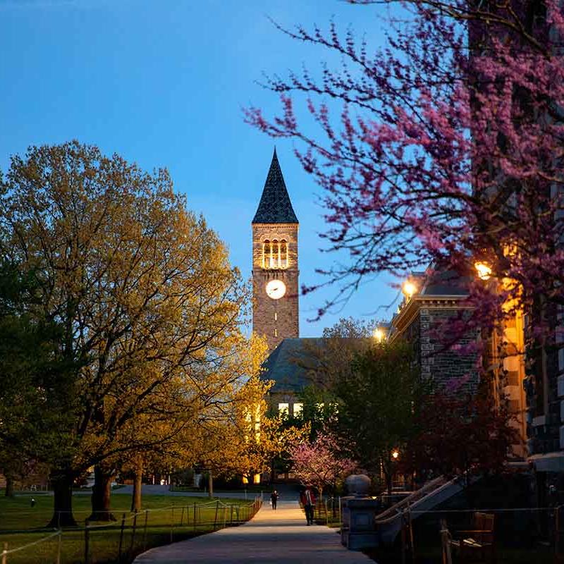 Tower as seen from Mcgraw