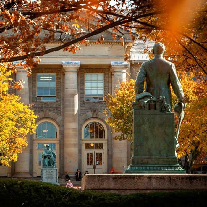 Statue in front of a stone building