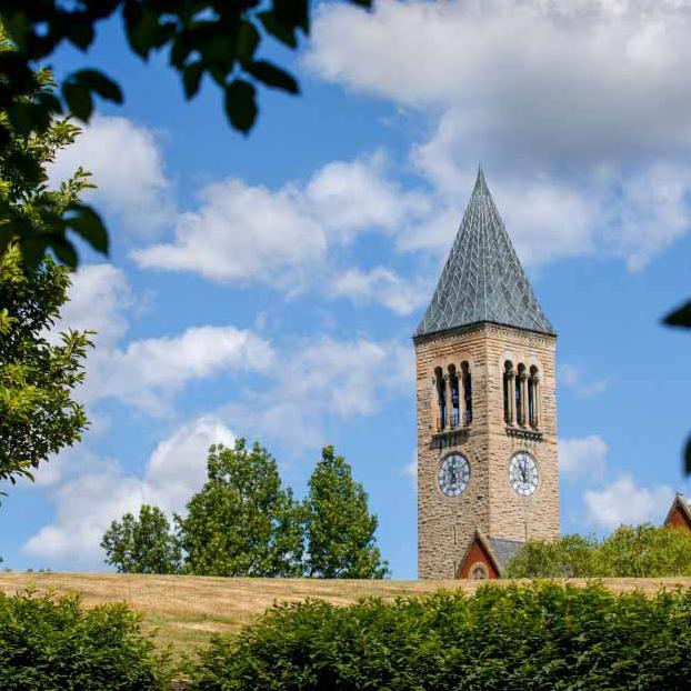 Clock tower peeking over a green hill with blue sky