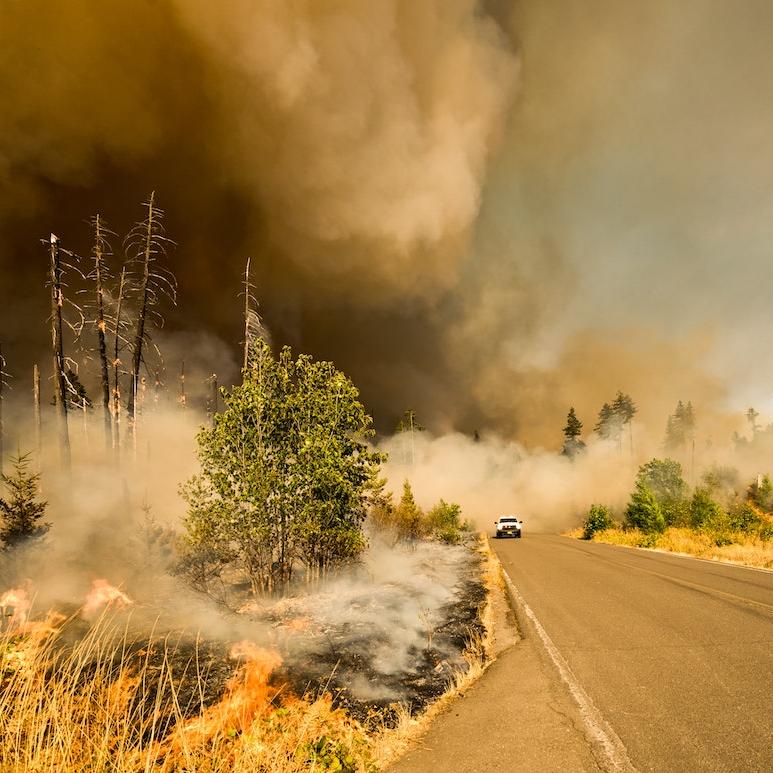 highway surrounded by smouldering brush; a white pickup truck