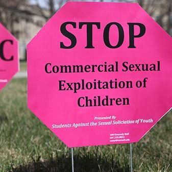 Bright pink lawn signs