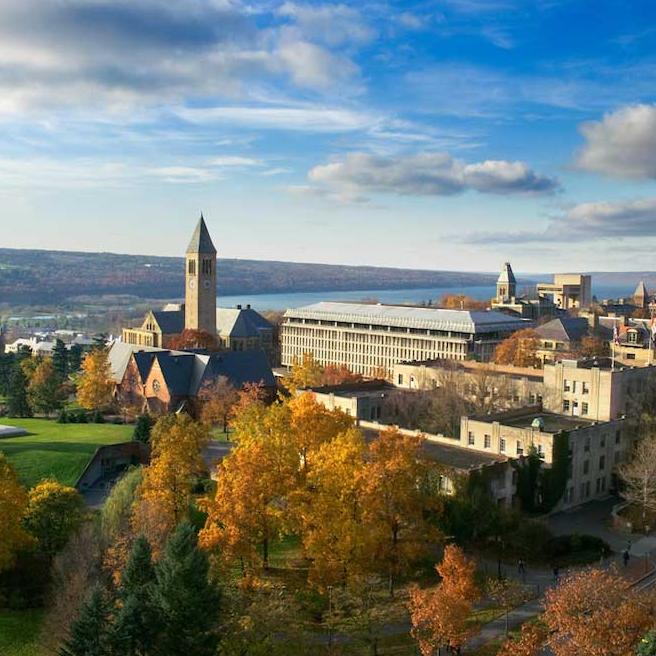 Looking down on a campus with buildings, green lawn, and a lake in the distance