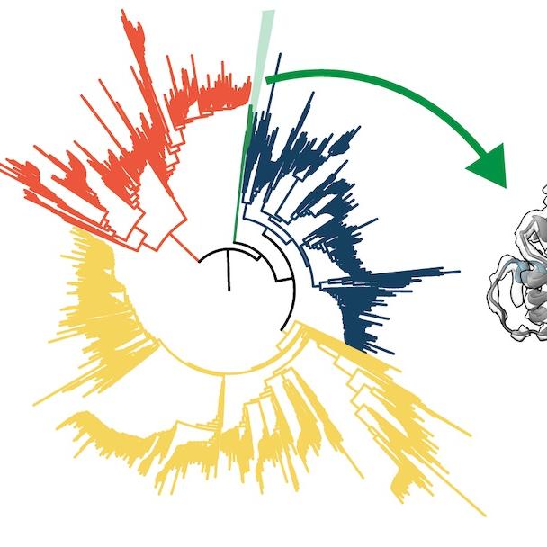 Two-part illustration: on the left, a three-color wheel; on the right, an elongated tangle of blue, grey and purple threads