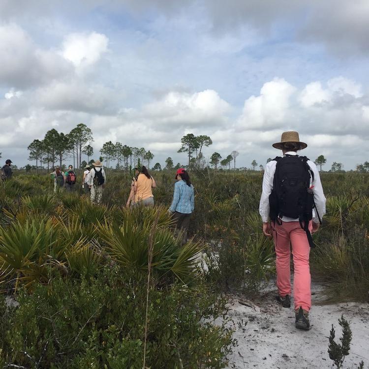 Several people wearing outdoor clothing walk in a line through sandy scrub land