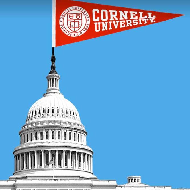 Illustration of the US Capitol Building against a bright blu background, a red Cornell University flag perched on top