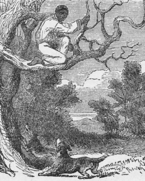 Antique line drawing of person in a tree, pursued by a dog