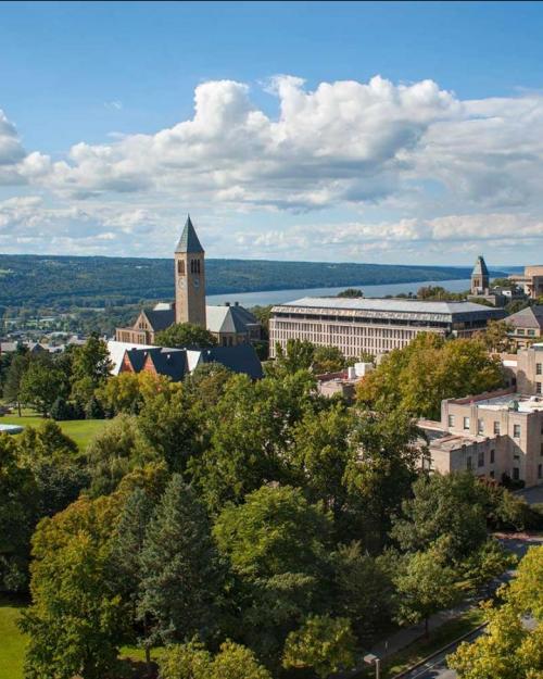 University campus seen from above, sunny day