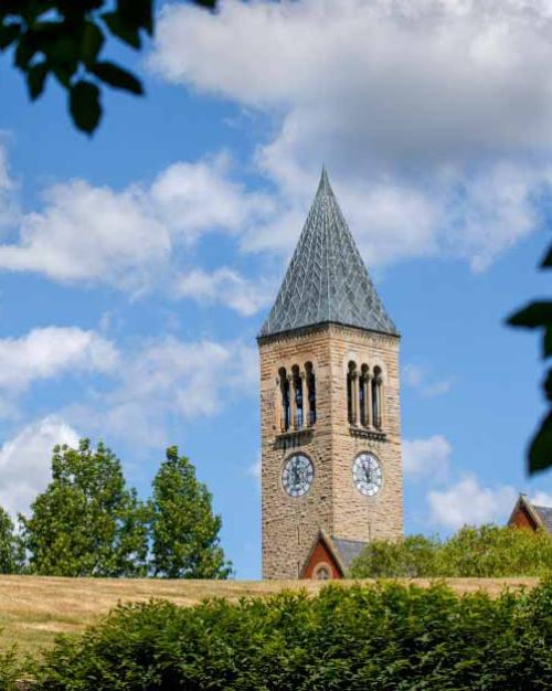 Clock tower peeking over a green hill with blue sky