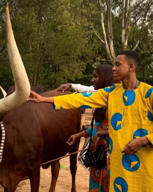 two people touching a cow