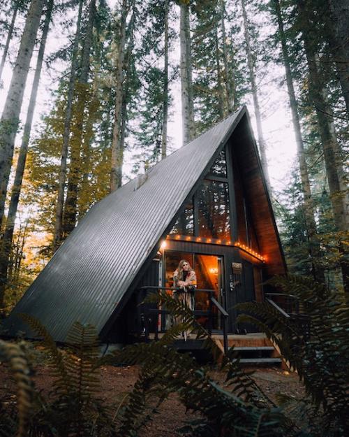 A-frame house in the forest