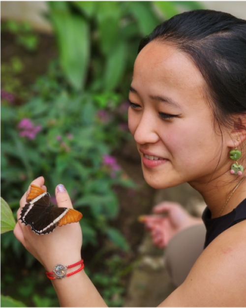 Person looking at a butterfuly in her hand