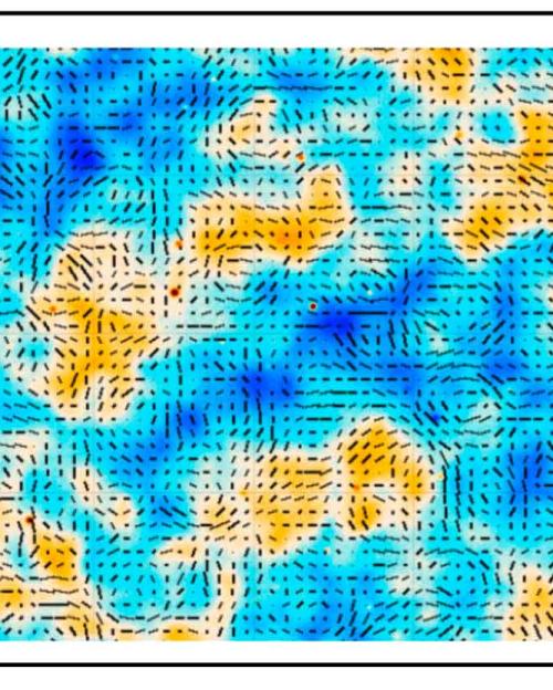 Patches of dark blue, turquoise and orange scattered on a grid of black broken lines, with an oxagonal and a star-shaped line drawing next to it.