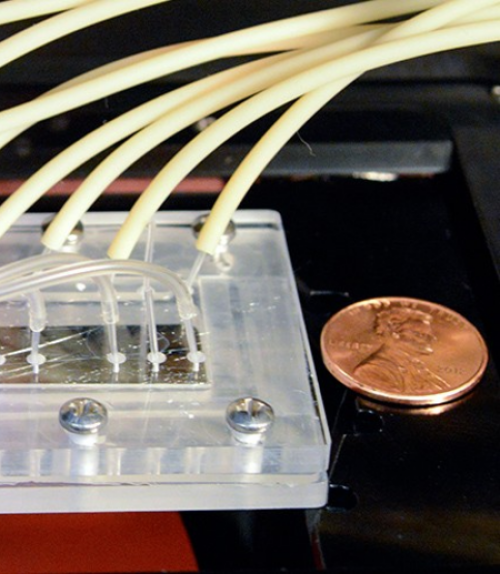  Microfluidic chip containing four identical three-channel devices