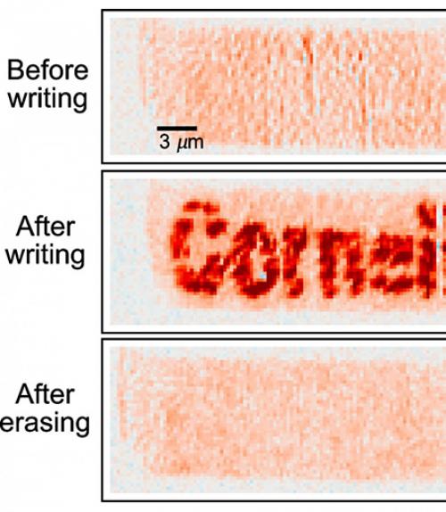  Three boxes; one says &quot;Cornell&quot; in red writing