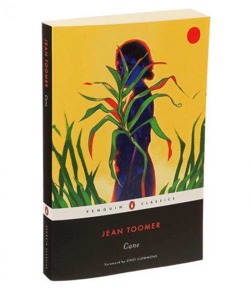  Cane book cover