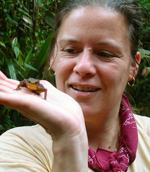  Goldwin Smith Professor of Ecology and Evolutionary Biology Kelly Zamudio