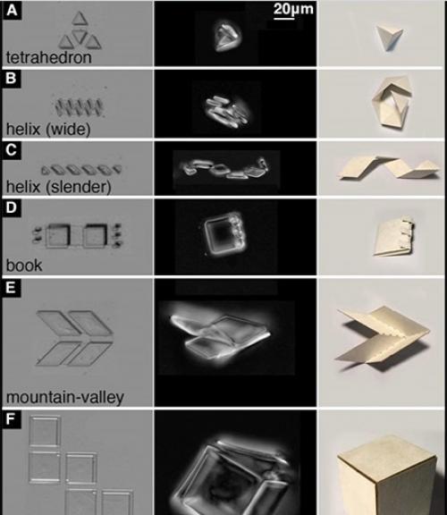  A chart comparing various geometric shapes