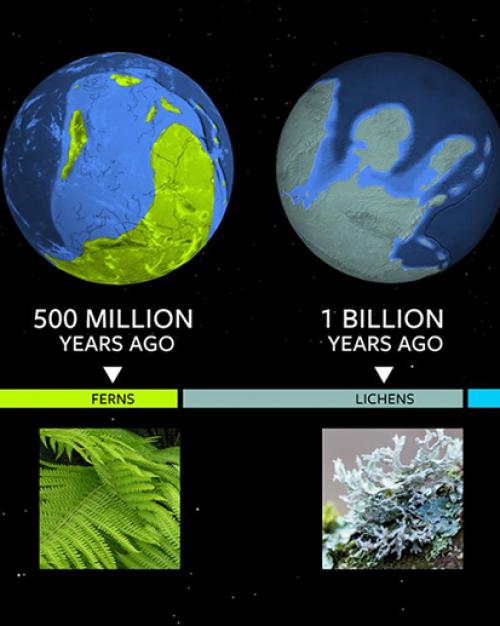  To understand where exoplanets are in their own evolution, astronomers can use Earth’s biological milestones as a Rosetta stone.