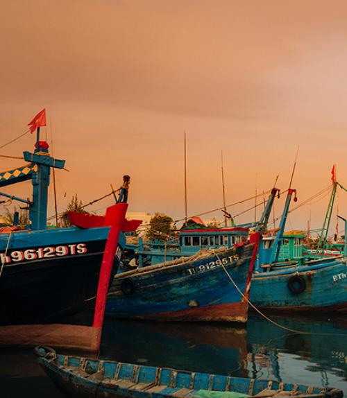  Boats tied to a dock, orange evening sky