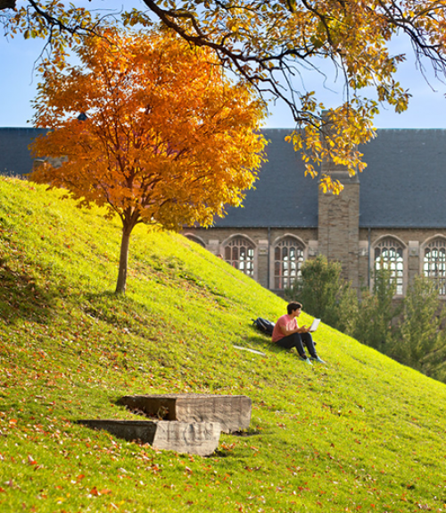  A student sits on a grassy hill near a tree turned orange by autumn