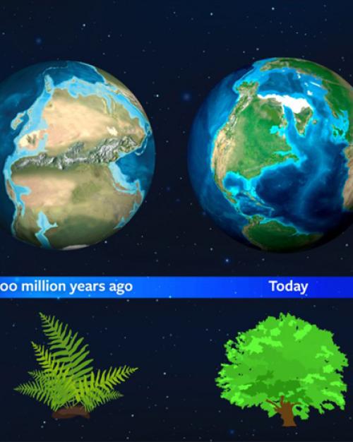 Graphic showing how the planet had a different light signature due to the dominance of moss. 