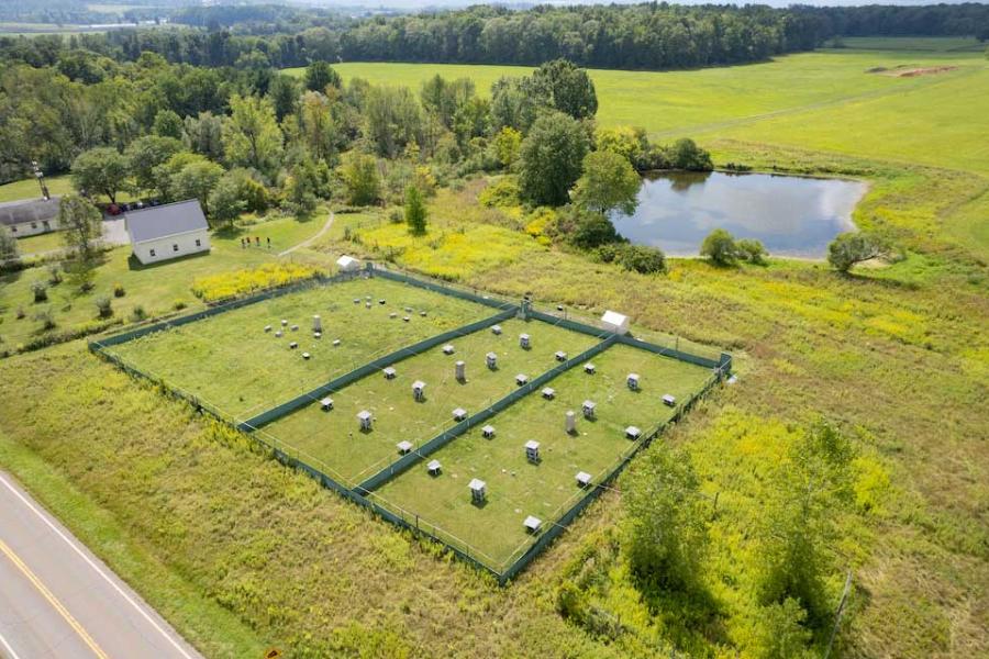 Green field dotted with rectangular objects beside a pond, seen from above