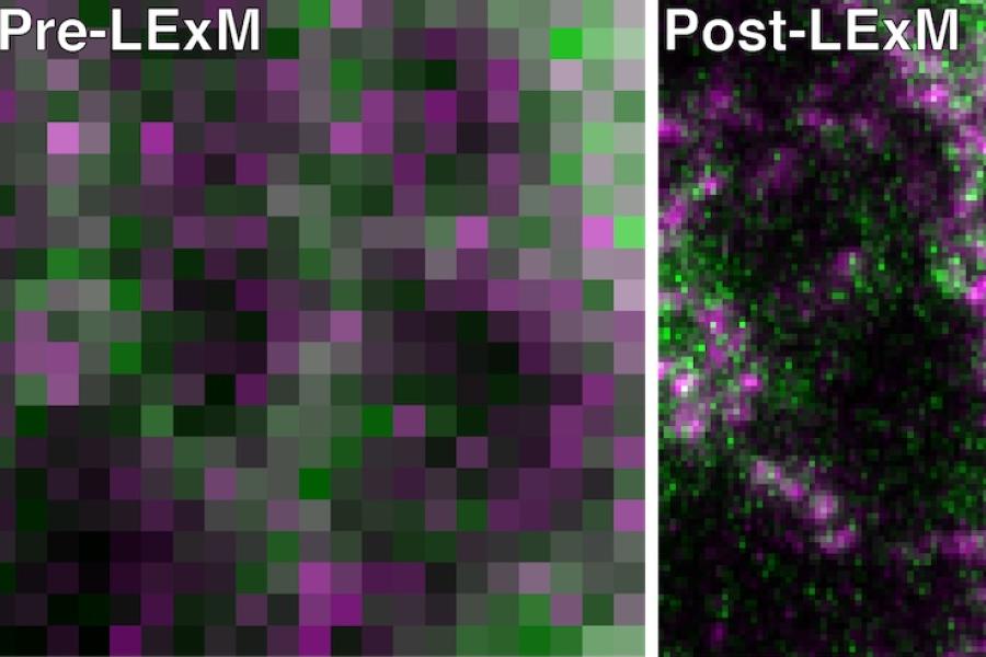 Two squares: on the left, large squares of black, purple and green. On the right, much higher resolution