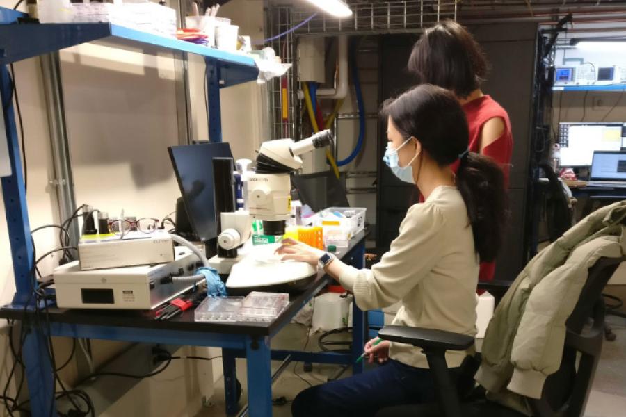 Two people working at a desk with a microscope